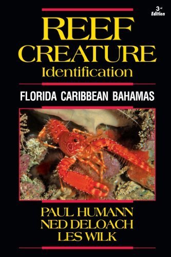 Paul Humann/Reef Creature Identification@ Florida Caribbean Bahamas@0003 EDITION;